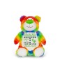 Preview: Stofftier Bär Regenbogen bestickt mit Namen